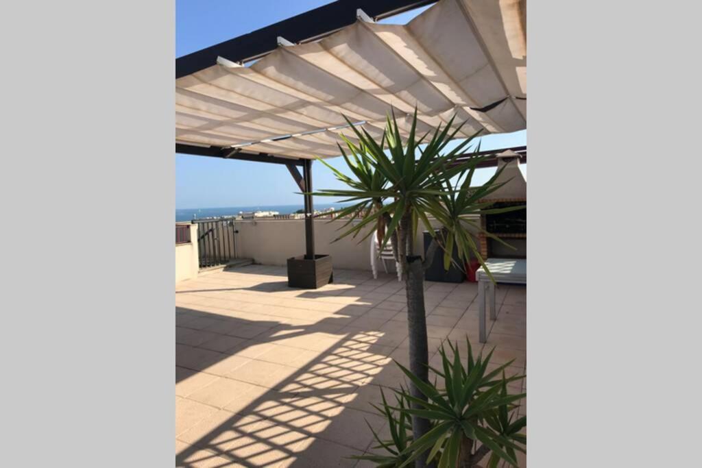 Precioso Atico En Complejo Residencial Con Piscina Lejlighed Sant Carlos de la Ràpita Eksteriør billede